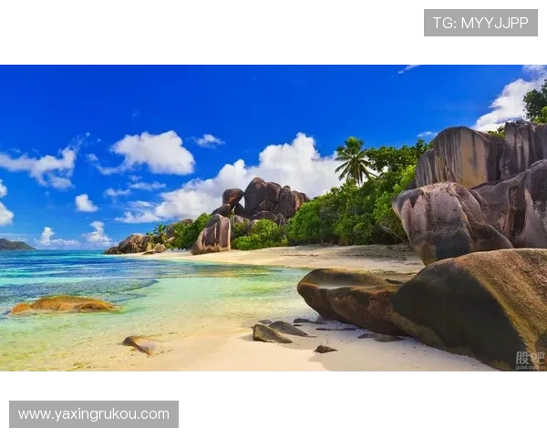 亚星娱乐网上退分操作流程详细解析，逐步指导用户完成退分步骤