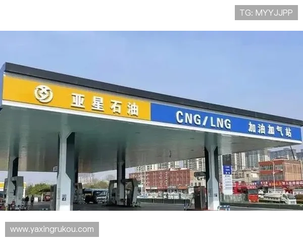 亚星官网平台入口官方入口全面解析，帮助用户顺畅进入亚星官方平台的详细操作方法