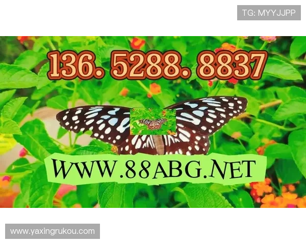 亚星手机版官方登录入口在哪详细介绍及最新入口获取方法