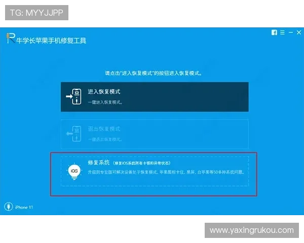 亚星手机版苹果平台下载详细步骤，快速安装无障碍操作指南